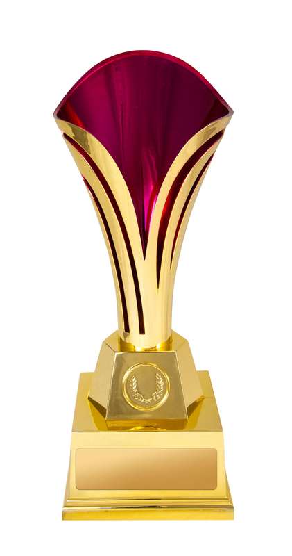 Tulipa Cup Gold-Pink in Colour