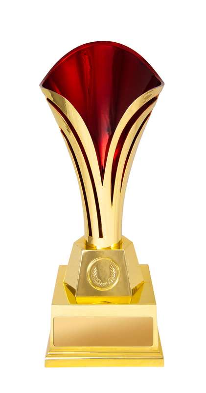 Tulipa Cup Gold-Red in Colour