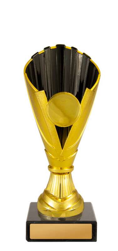 Norwood Cup