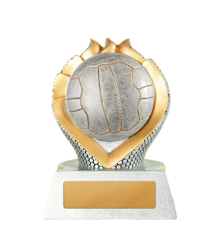 Sierra Tower-Netball