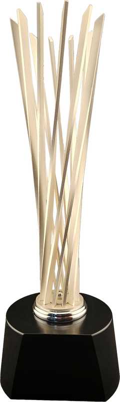 Radius Series Hand made Silver finish victory Spires trophy timber base