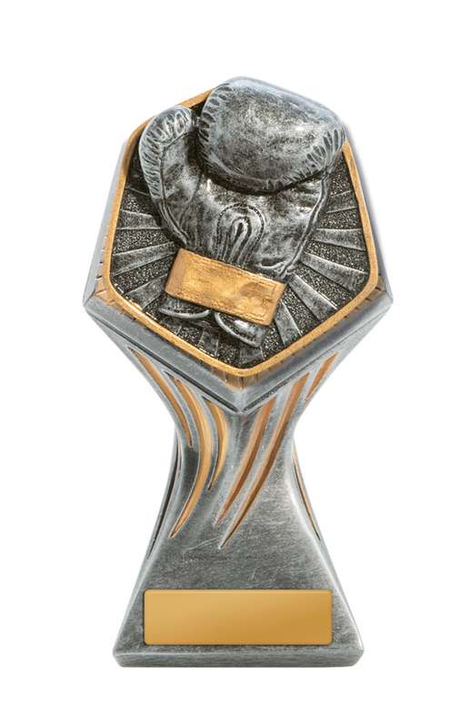 Gladiator Series-Boxing