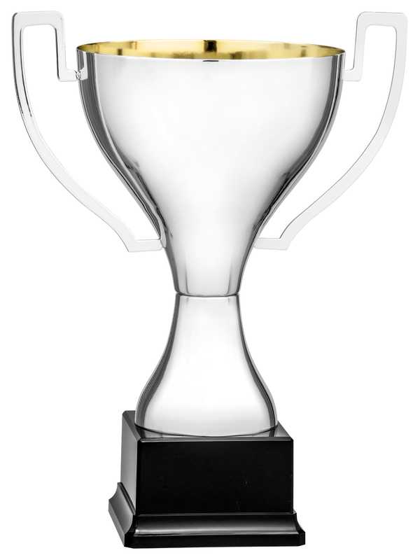 Silver Finish Gold Inner Cup