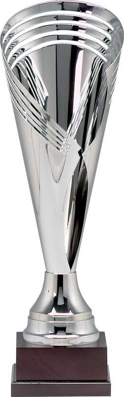 Silver Finish Trophy on Timber base