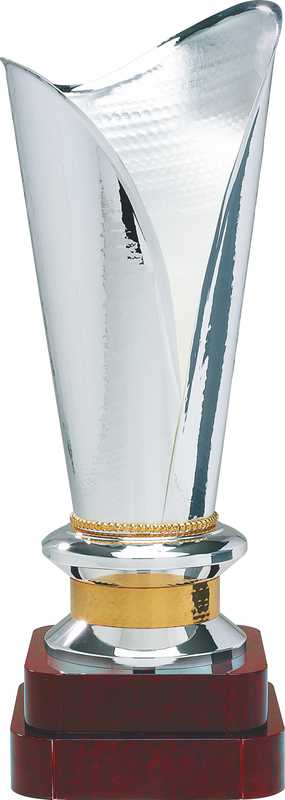Silverplated Satin Finish-Gold Trims handmade trophy 2-tier timber base