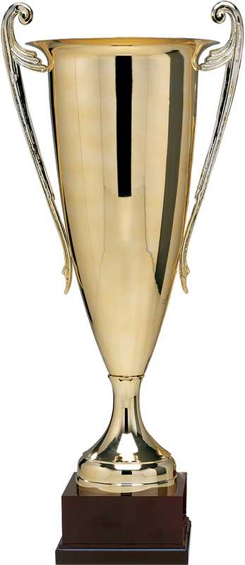 Ex Large Gold finish Cup timber base