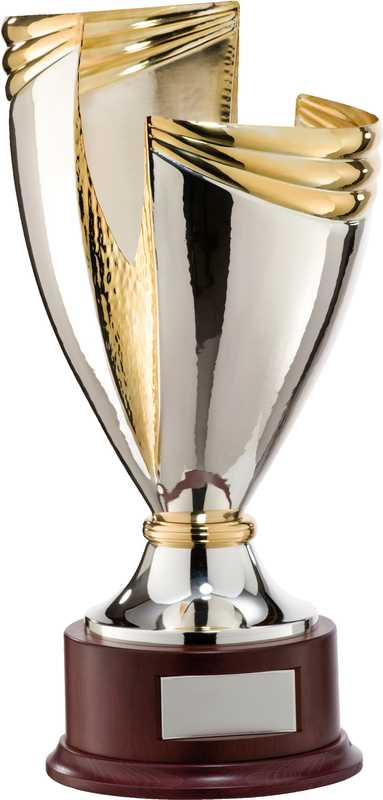 2-Tone Silver & Gold plated Handmade Trophy cup Timber base
