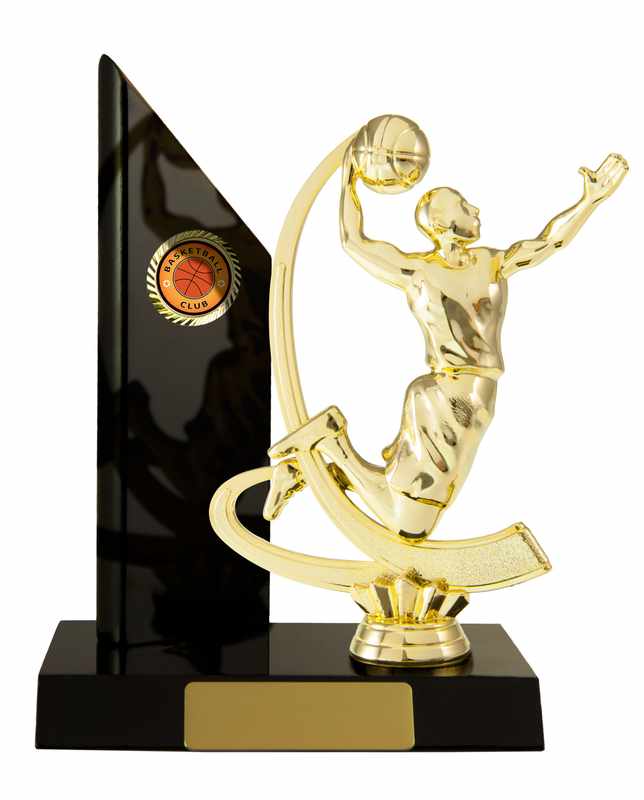 Timber Buildup Basketball