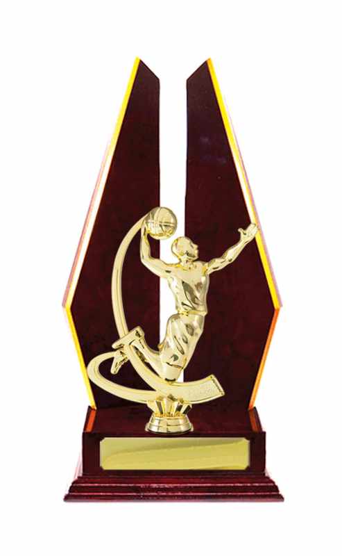 Timber Buildup Basketball