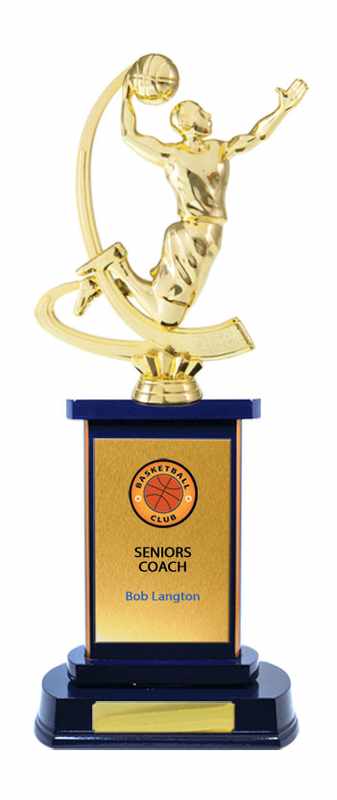 Timber Buildup Basketball