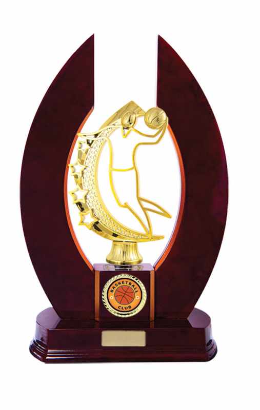 Timber Buildup Basketball