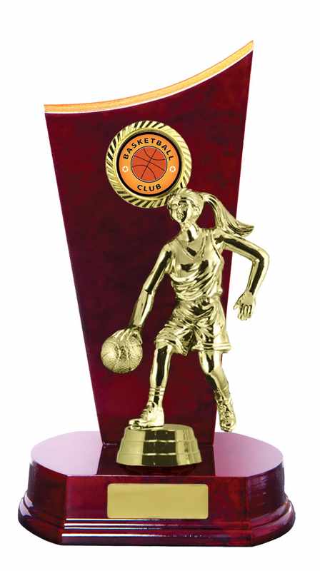 Timber Buildup Basketball