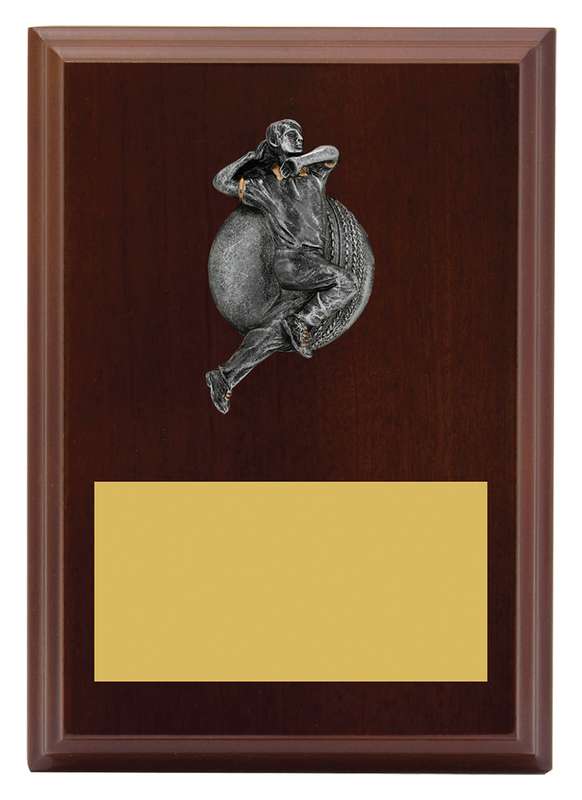 Plaque – Male Bowling