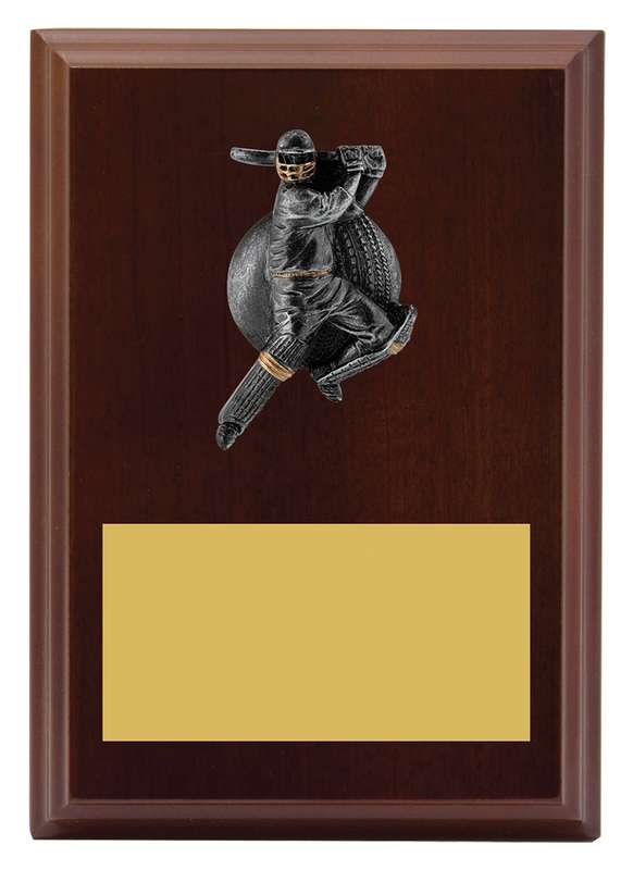 Plaque – Male Batting