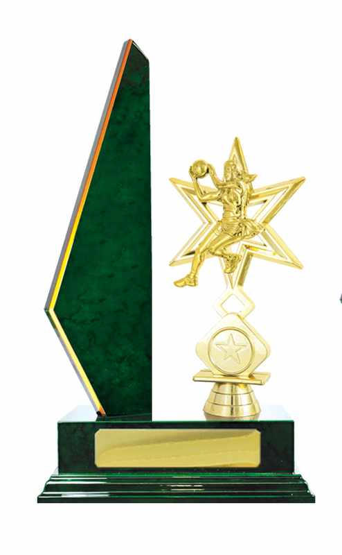 Timber Buildup Netball