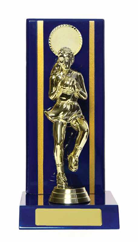 Timber Buildup Netball