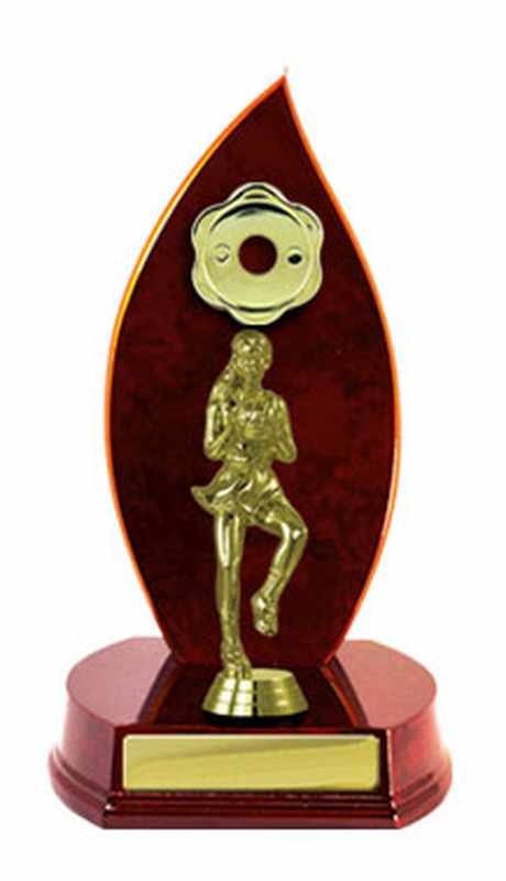 Timber Buildup Netball