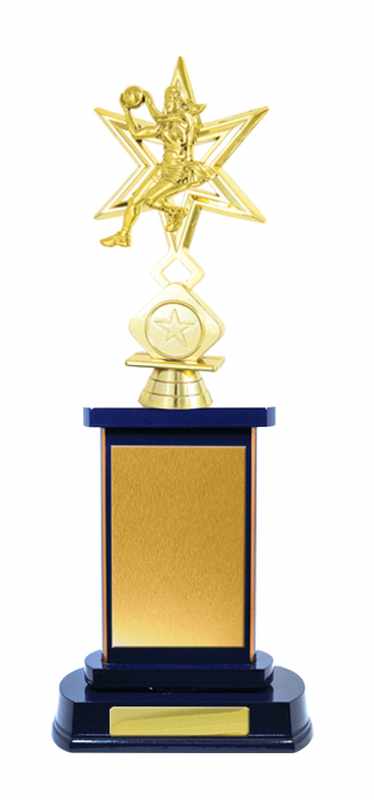 Timber Buildup Netball