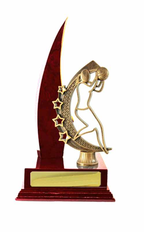 Timber Buildup Netball