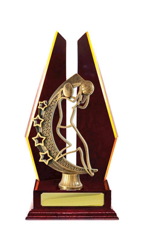 Timber Buildup Netball