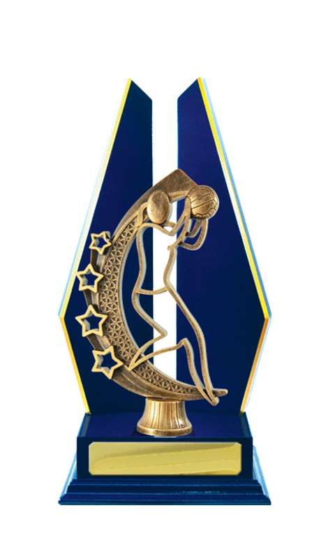 Timber Buildup Netball