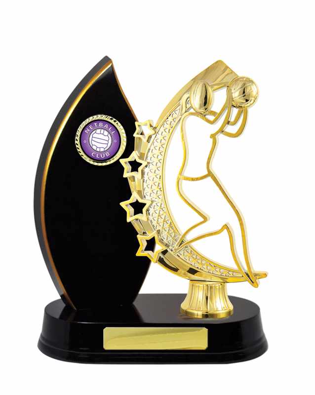 Timber Buildup Netball