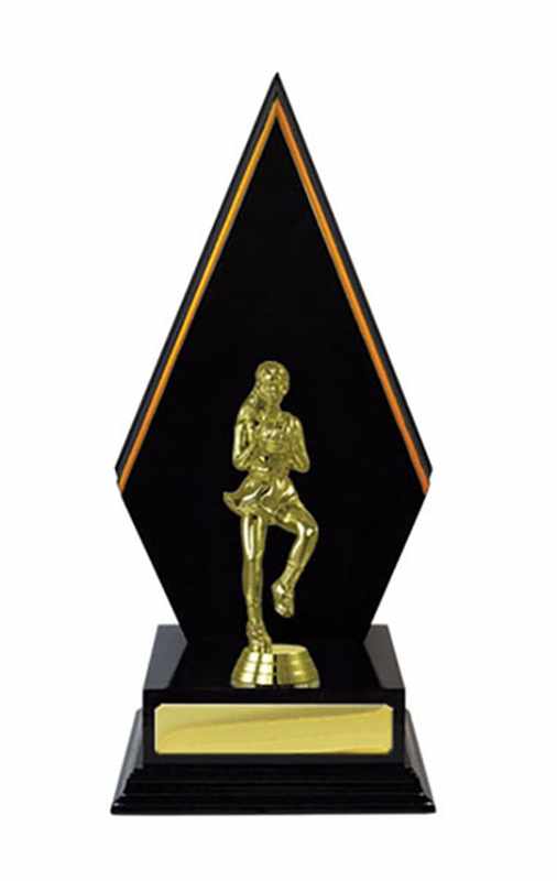 Timber Buildup Netball