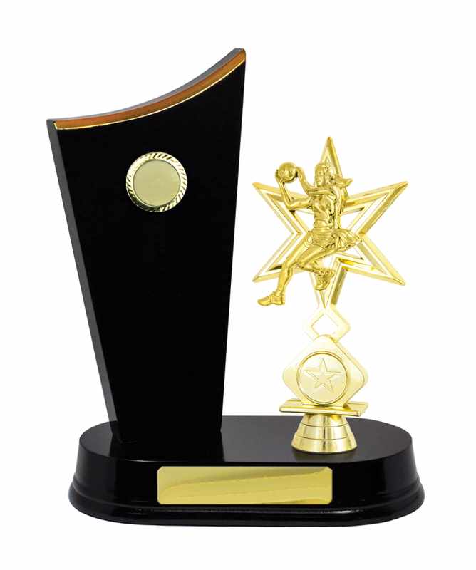 Timber Buildup Netball