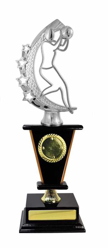 Timber Buildup Netball