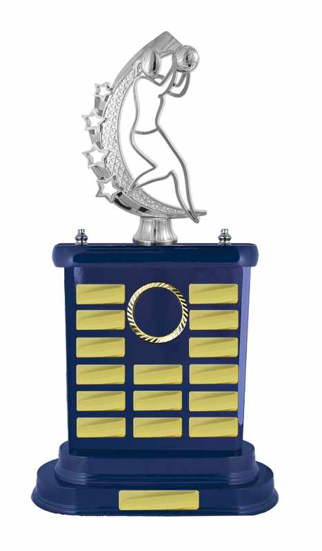 Timber Buildup Netball