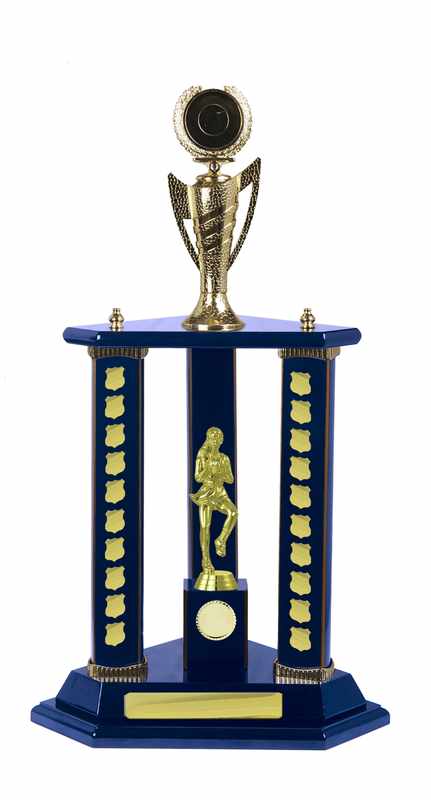 Timber Buildup Netball