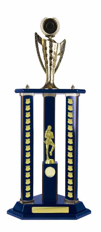 Timber Buildup Netball