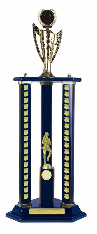 Timber Buildup Netball