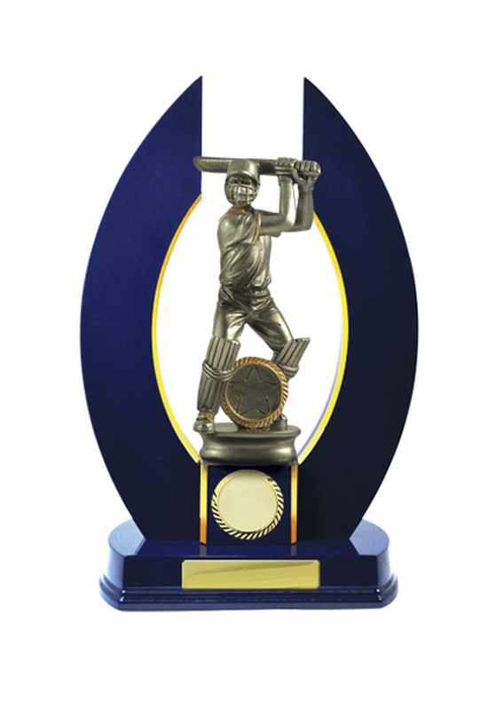 Timber Buildup Cricket