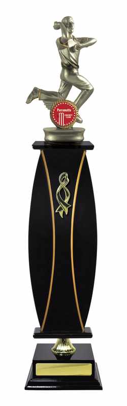 Timber Buildup Cricket