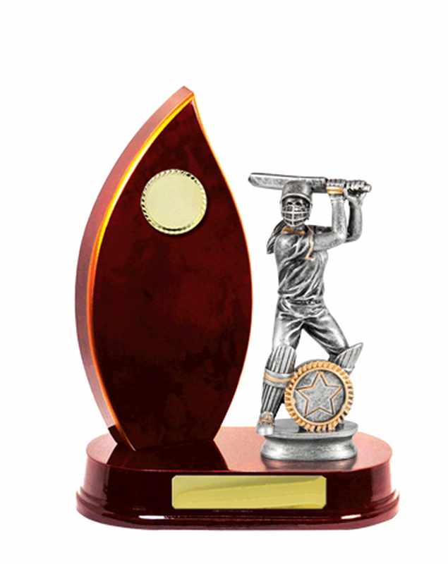 Timber Buildup Cricket