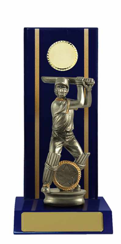 Timber Buildup Cricket Male