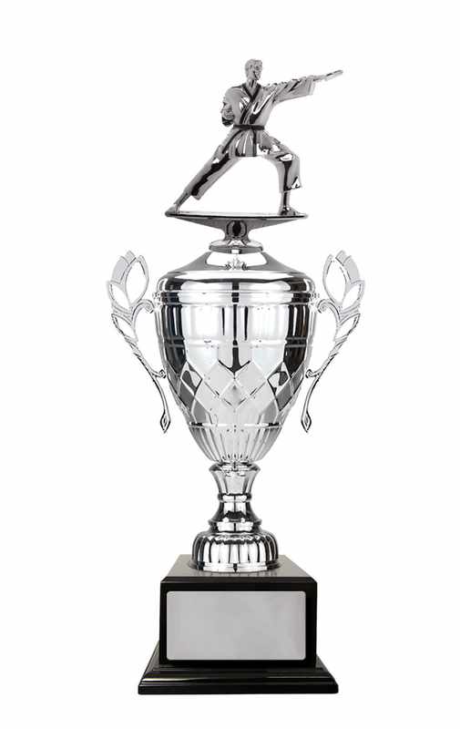 Whopper Cup-Martial Arts