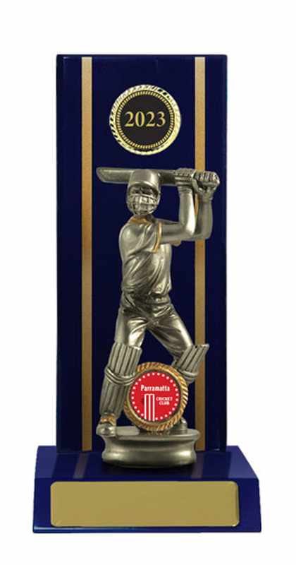 Timber Buildup Cricket