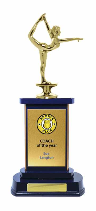 Timber Buildup Gymnastics