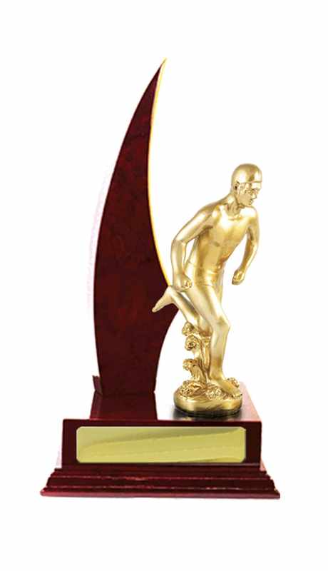 Timber Buildup Lifesaving