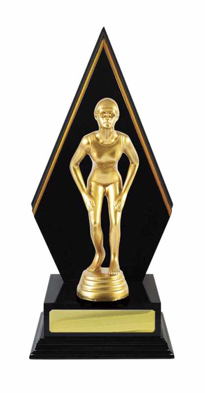 Timber Buildup Swimming